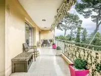 Les Pins d'Alep