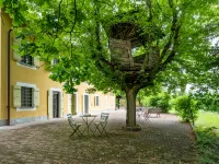 Giorgio Winery