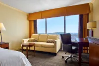 Hilton Knoxville Hotels near Zoo Knoxville