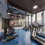 Radisson Blu Plaza El Bosque Santiago - Gym