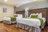 Quality Inn Chihuahua San Francisco