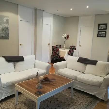 Apt. San Sebastian Center Next to the Concha Beach.