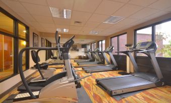 Holiday Inn Express & Suites Pine Bluff