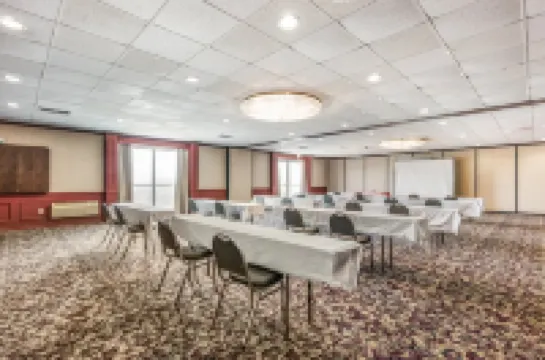 レッド カーペット イン ハズレトン