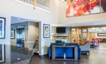 Comfort Inn & Suites Sturbridge-Brimfield