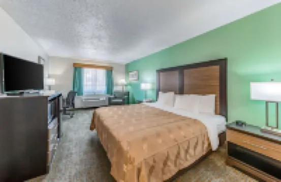 퀄리티 인 알렌 - 플레이노 이스트