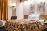 弗林特/畢曉普國際機場戴斯酒店