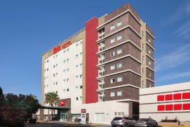 Ibis Chihuahua