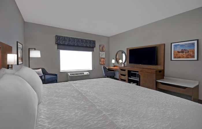 Hampton Inn by Hilton Midland South