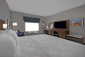 Hampton Inn by Hilton Midland South