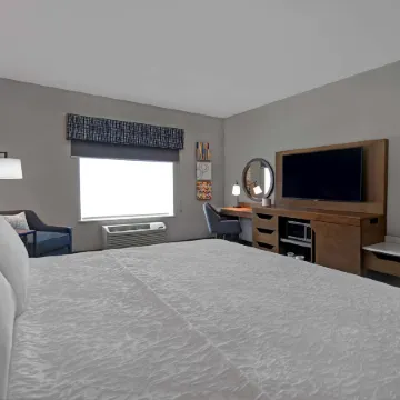 Hampton Inn by Hilton Midland South