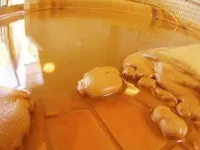 Hanayama Onsen Yakushinoyu - น้ำพุร้อน