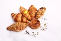Fortino Napoleonico - petit déjeuner