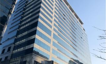 Willow House Hongdae