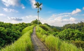 Pondok Massas Ubud