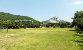 The K Hotel Gyeongju