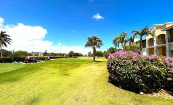 Beauty Golf Views in Golf Suites Cocotal 7132 - Housity