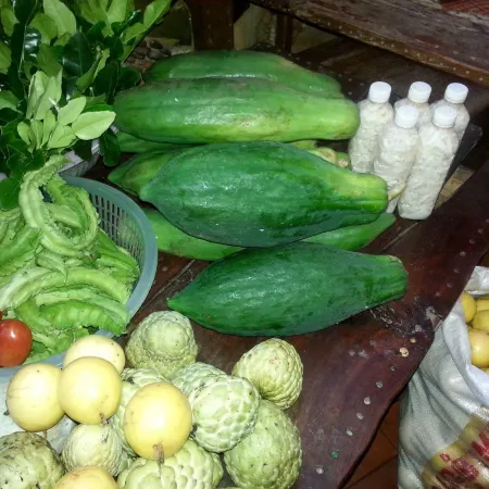 Shanti Farm
