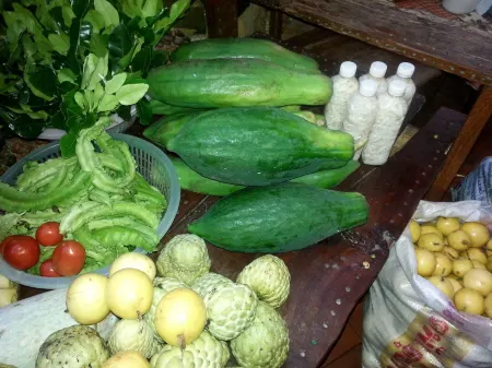 Shanti Farm Отели в г. Сисават