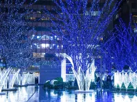 니시테츠 호텔 크룸 하카타