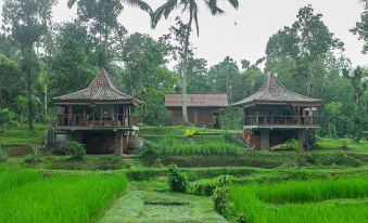 Tepi Sawah Lodge & Retreat