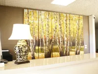Country Lodge Motor Inn Hotels in Bathurst