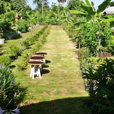 Baanbon Homestay