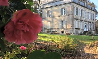 a large house with a red flower in the foreground and a clear blue sky in the background at Chateau de Beaulieu