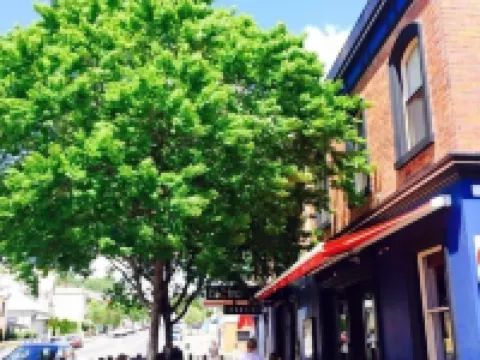 Sporties Hotel Hotels in Launceston