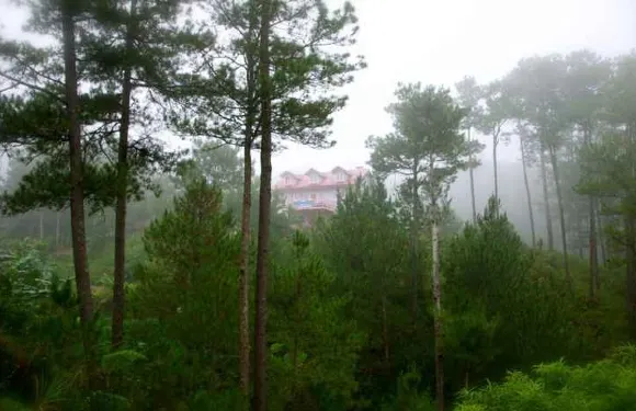 薄霧大堂咖啡廳旅館