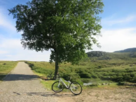 ホテル ルーラル ダ フレイタ アロウカのホテル