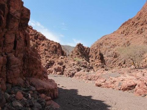 Es Racó d´Artà - Housity