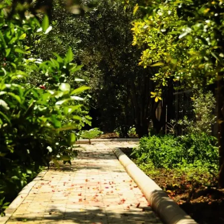Kerem Apart Hotel