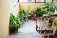 Family Guest House