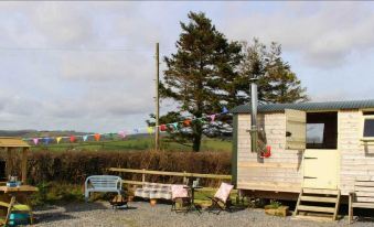 Cosy Shepherd's Huts in Carmarthen