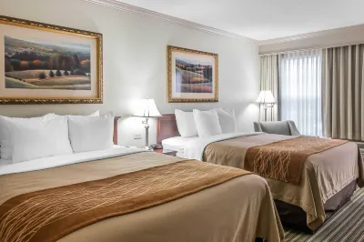 Comfort Inn