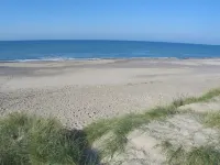 "Ernbiorn" -  from the Sea Hotels in Harboor