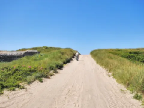 "Beatrice" - 150m from the Sea