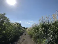 Cottage Jikyujisoku (Self-Sufficiency) Hotels in Ine