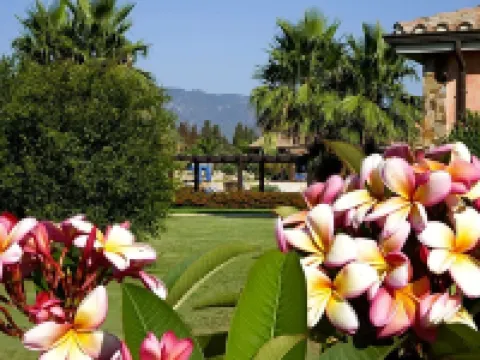 Lantana Resort Hotel&Apartments Hoteles en Pula