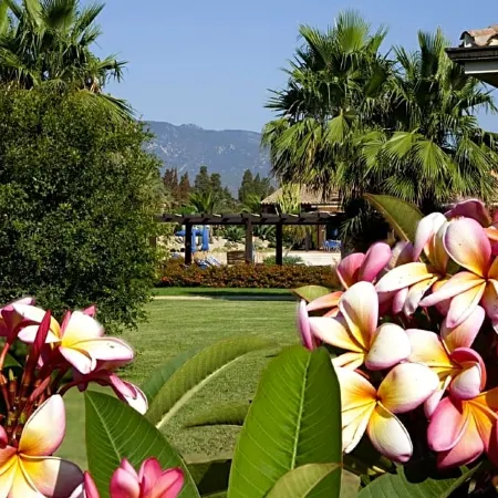 Lantana Resort Hotel&Apartments