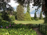 Villa Camelia