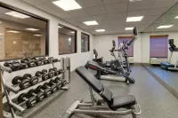 Holiday Inn Express & Suites I-95 CAPITOL BELTWAY-LARGO by IHG - Gym