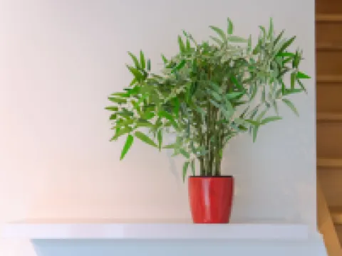 Ter Duinen Hoteles en Bredene