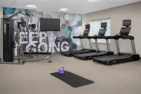 亞特蘭大比福德 - 格魯吉亞州購物中心 SpringHill Suites 酒店 - 健身室/gym room