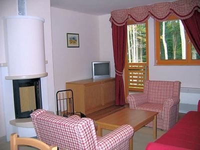 One-Bedroom Apartment with Fireplace and Balcony