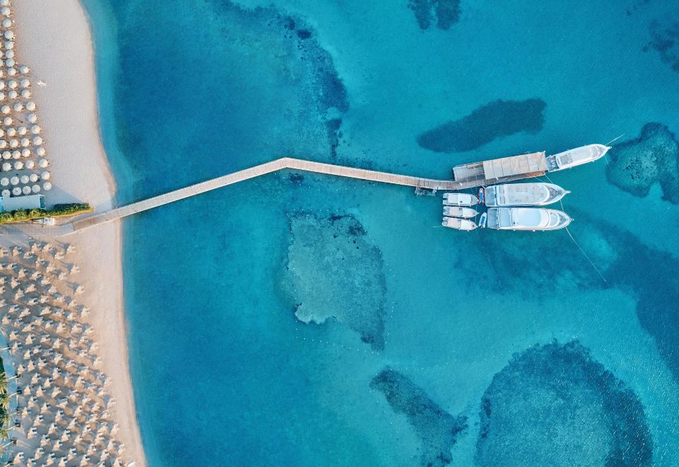 Jaz Aquaviva Over view