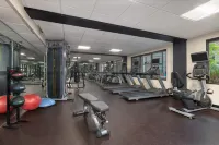 Holiday Inn DES MOINES-AIRPORT/CONF CENTER by IHG - gimnasio