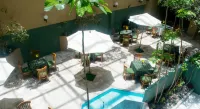 Hotel San Francisco Hotels in Toluca