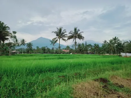 Pesona Java Ijen Homestay Отели в г. Ijen